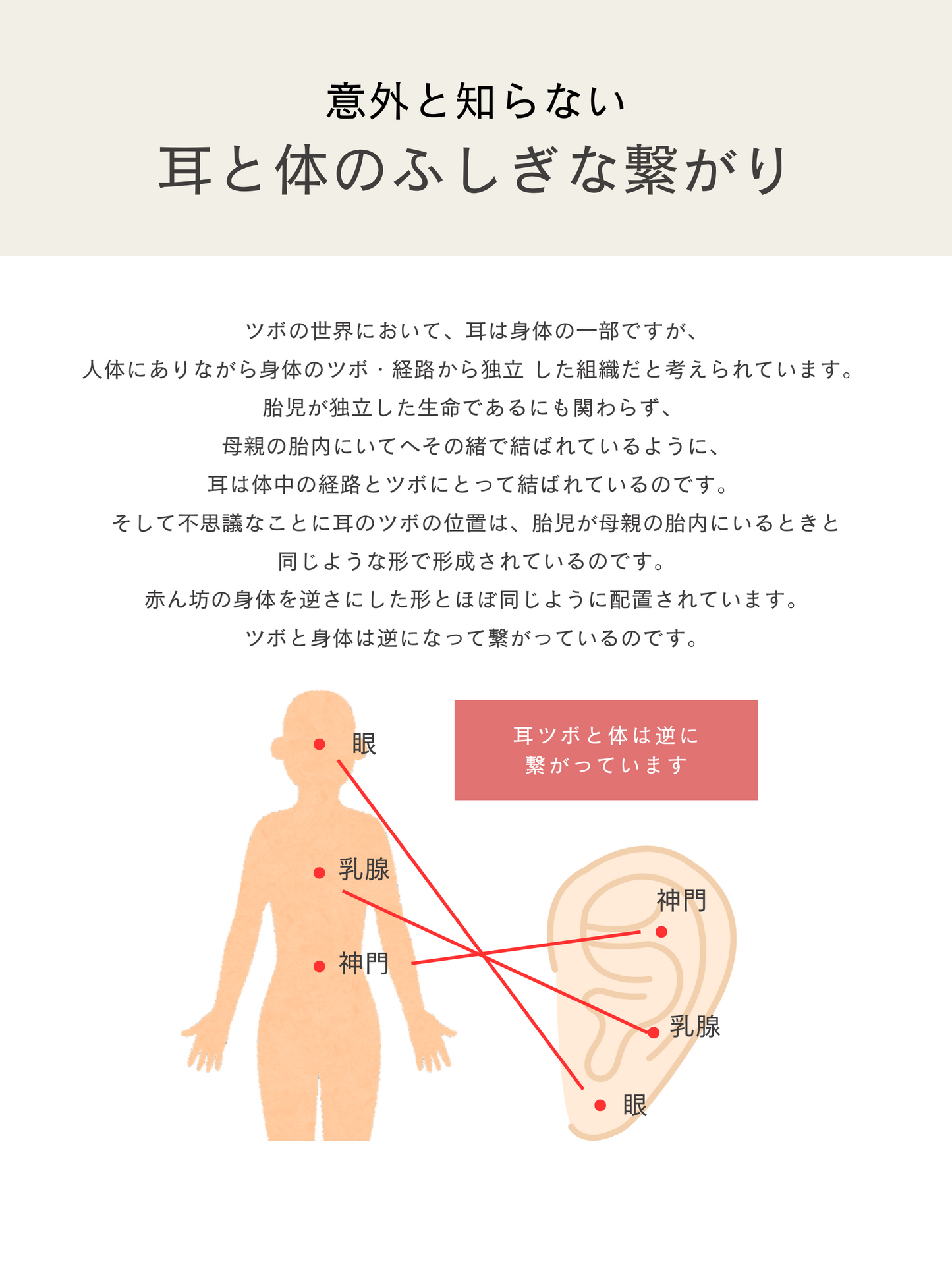 étoile mimi tsubo jewelry ( Polaris )