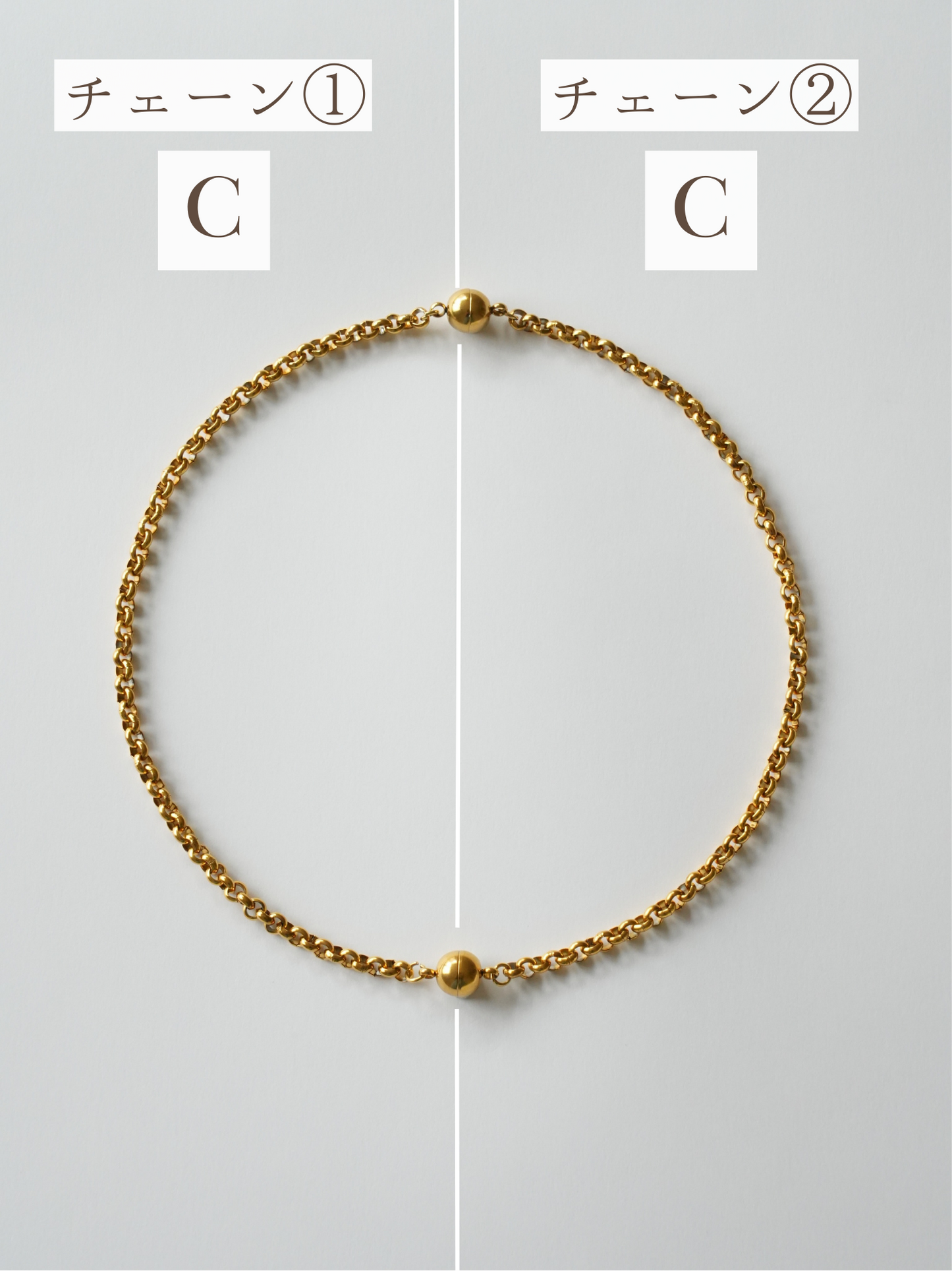 2way choice necklace / 316L(金属アレルギー対応)