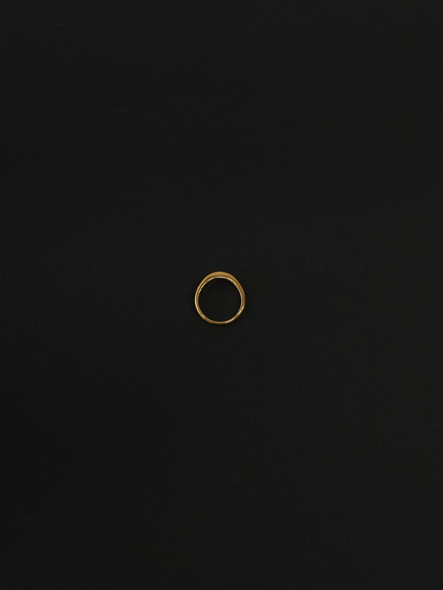 Echo Line(響き合う線)/ ring